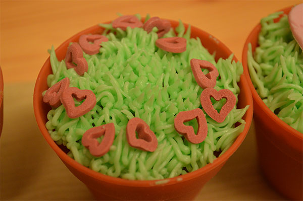 Valentines Cupcake Ideas Icing Hearts Piped Grass