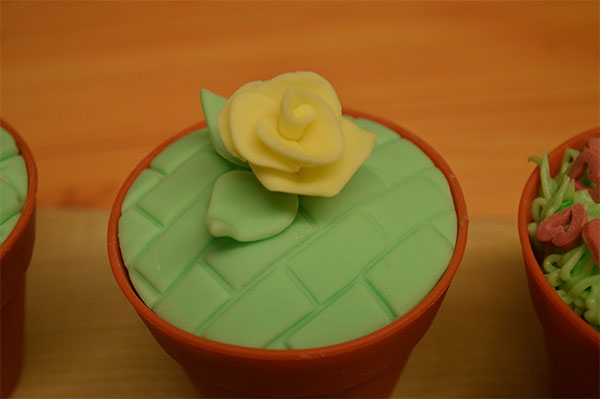 Valentines Cupcake Ideas Single Sugarpaste Rose Plant Pot