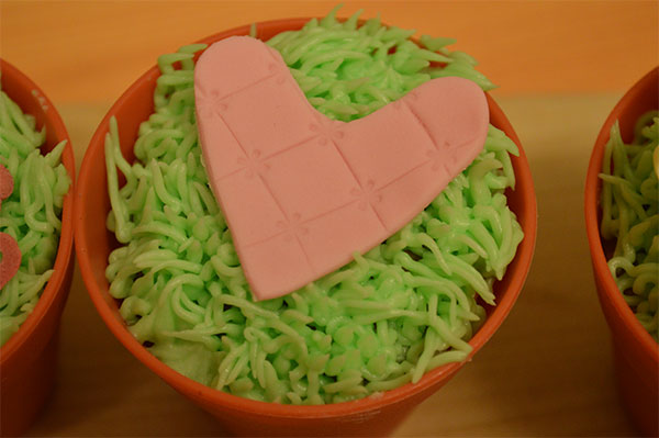 Valentines Cupcake Ideas Sugarpaste Heart Piped Grass
