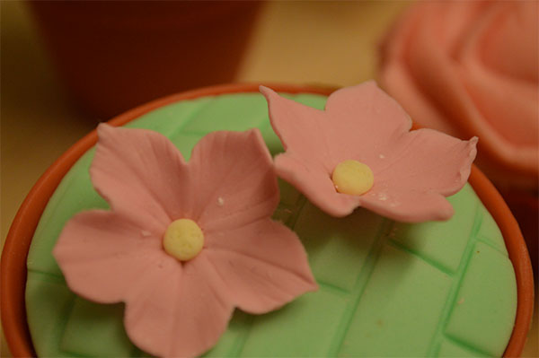 Valentines Cupcake Ideas Sugarpaste Moulded Flowers