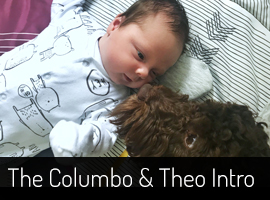 Introducing a dog and a newborn baby